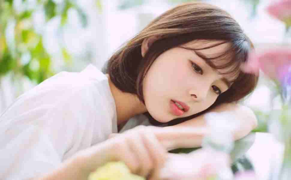 克隆侠站群介格